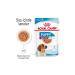 Royal Canin Medium Puppy Wet Food 10x140 gr - Buy Online on GoSupps.com