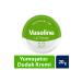 Vaseline Lip Therapy Softening Lip Balm Aloe Vera 20 gr - Buy Online on GoSupps.com