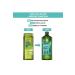 Yves Rocher Purifying Shampoo - Oily Hair / Pure Detox Detoxifying Ocean Algae 300ml - Buy Online on GoSupps.com