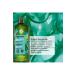 Yves Rocher Purifying Shampoo - Oily Hair / Pure Detox Detoxifying Ocean Algae 300ml - Buy Online on GoSupps.com