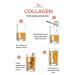 GARDENERS NUTRALIV Gardener's Nutraliv Collagen Peptide I 2 3 Aminoside Vitamin and Mineral Containing Supplementary Food - Buy Online on GoSupps.com