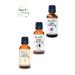nevilife 3-Pack Care Oils Rosemary Oil 20 ml Coconut Oil 20 ml Castor Oil 20 ml