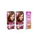 Garnier Striking Colors Paint 6.35 Intense Dark Blonde 2 Pieces