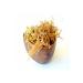 Heybeli Aktar Spice Sea Shredded Wheat Irish Moss Gold Sea Moss 500 gr