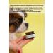 Bade Natural Moisturizing Pet Nose Balm 15 ml - Buy Online on GoSupps.com