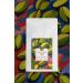 Mim and More Pistachio Coffee Pistachio Flavored Coffee Beans 200 Gr - Buy Online on GoSupps.com