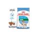 Royal Canin Mini Starter Dog Food 3 Kg - Buy Online on GoSupps.com