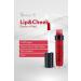 Shyler'S Lip & Cheek 4-pack Lip Color - Buy Online on GoSupps.com