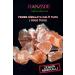 Hanzade Herbal Halite Salt Sole Salt 2 KG Transparent Clear Crystal Pink Himalayan Halite Sole Salt - Buy Online on GoSupps.com