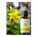 Lavendrose St. John's Wort Flower Oil 0 Pure Natural Red-Helps Cell Regeneration Suitable for Burns and Wounds 50ml - Buy Online on GoSupps.com