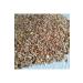 Uludag Wheat Mixed Pigeon Food 10kg - Buy Online on GoSupps.com