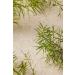 THE BODY SHOP Tea Tree Tea Tree Purifying Tonic 400 ml - Buy Online on GoSupps.com