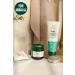 THE BODY SHOP Tea Tree Tea Tree 3 in 1 Cleansing Scrub Mask 125 ml - Buy Online on GoSupps.com