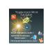 INXENTA Magneium Citrate 30 Sachets - Buy Online on GoSupps.com