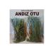Akhisar Lokman Hekim And z Herb Akhisar Branched Leafy Sticky Genuine Natural Original We Collect It Ourself.