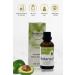 botanica Avocado Oil - Persea Americana - Hair and Skin Care Avocado Oil Avocado Oil 50 ml