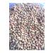 CHEMIST PISTACHIO AND NUTS Raw (not roasted) Medium Sized Peanut 3000gr