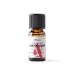 Alfheim Cactus Flower Oil/ Cactus Oil/ Aromatherapy/ Carrier Fixed Oil/ 10 Ml - Buy Online on GoSupps.com
