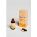 OJIJO LONDON Brightening and Tone-Equalizing Vitamin C Serum - Niacinamide - Buy Online on GoSupps.com