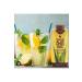 Forever Living Products Forever Living Aloe Vera Mini 3 Pieces - code 7163 - Buy Online on GoSupps.com