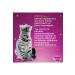 Whiskas Whiskas Salmon Cat Wet Food 10 Pieces (1X85GR) - Buy Online on GoSupps.com