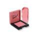 Pastel Light and Cream Formula Blush 41
