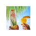 Forever Living Forever Aloe Mango - Buy Online on GoSupps.com