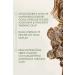 Origins DR. ANDREW WEIL FOR ORIGINS MEGA-MUSHROOM Anti-Dark Spot Serum 50 ml - Buy Online on GoSupps.com