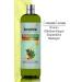 DERMOBELLA Pine Turpentine and Sweet Almond Extract B Vitamin Shampoo 700 ml - Buy Online on GoSupps.com
