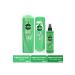 Elidor Healthy Growing Hair Hair Care Set