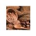Holistic Corner Organic Cocoa Powder | 150g - Buy Online on GoSupps.com