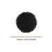 Holistic Corner Organic Nigella Seeds (black Seeds) Black Cumin | 85g - Buy Online on GoSupps.com