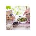 Holistic Corner Black Raisins (With Seeds) | 100g - Buy Online on GoSupps.com