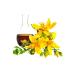 Balen St. John's Wort Oil (MACERATING) 250 ml 2 Pieces - Buy Online on GoSupps.com