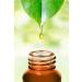 Balen Pistachio (BITTIM- TLENB K) Oil Cold Press 20 ml - Buy Online on GoSupps.com