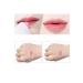 Lesvip's 2 Pieces Aloe Vera Extract Lip Moisturizing Effective Color Changing Magic Lipstick - Buy Online on GoSupps.com