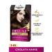 Paletta Palette Deluxe 3.65 Chocolate Brown Hair Dye