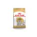 Royal Canin Maltese Terrier Adult Dog Food 1.5 Kg - Buy Online on GoSupps.com