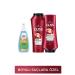 Gliss Color Perfector Color Protection Shampoo 500 Ml + Hair Conditioner 360 Ml + Palette Permanent Natural Colors