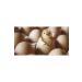 Fereketlimama Chick Growth - Development Feed - 4 Kg - Granules - Buy Online on GoSupps.com