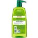 Garnier Fructis Sleek Shine Argan Oil Anti-Friction Shampoo 1lt - Buy Online on GoSupps.com