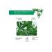 Yves Rocher Sebo Pure Vegetal Gel Cream - Carets Cosmetic - Buy Online on GoSupps.com