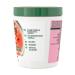 Garnier Fructis Watermelon Extract Hair Mask for Fine Hair 400ml - Buy Online on GoSupps.com
