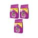Whiskas Chicken Kitten Dry Cat Food 300 gr (3 Pieces)