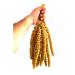 Green License Dried Natural Dal Millet - Yellow - 1 Kg. - Buy Online on GoSupps.com