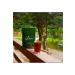 SADEM TEA First Harvest - Buy Online on GoSupps.com