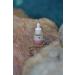 Oleobox Bio-Ferment Anti-Pigment Essence 2% Alpha Arbutin + White Mulberry - 30 ML - Buy Online on GoSupps.com