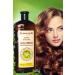 Pierre Cardin Herbal Shampoo For Dry & Damaged Hair 750 ml Herbal Shampoo (For Dry & Damaged Hair)