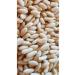 AKTARTAC Pine Nut 1st Class Hand Crushed (KOZAK BERGAMA) 250gr.
