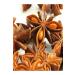 Krk Food Star Anise 100gr